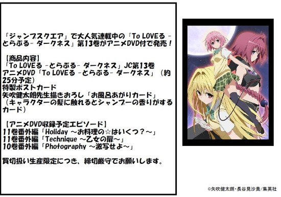 To Love Ru Darkness Volume 13 Limited Edition With Anime Dvd Merchpunk